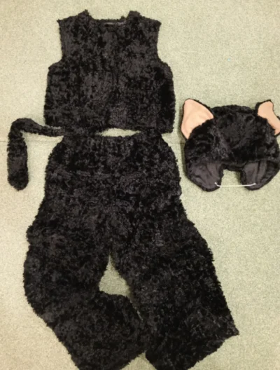 Кот или кошка