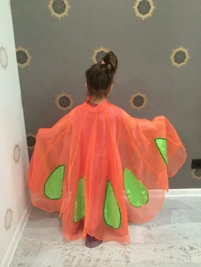 Костюм: Жар-птица