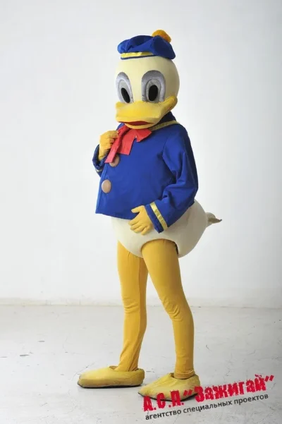 Костюм: Дональд Дак