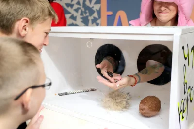 Аттракцион Ящик «Угадай что?!»