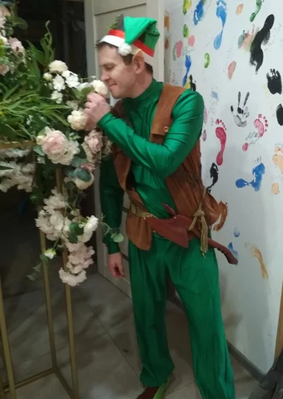 Лесной эльф